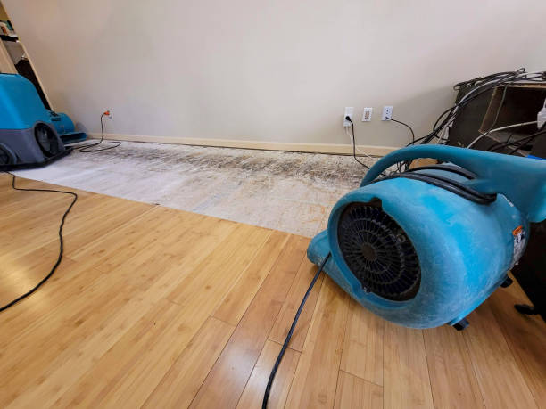 Professional Water Damage Repair technician working in Crestline, OH